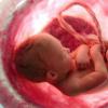 Що треба знати про токсоплазмоз при вагітності