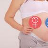 Як можна дізнатися стать майбутньої дитини без УЗД: способи визначення на ранніх термінах вагітності в домашніх умовах